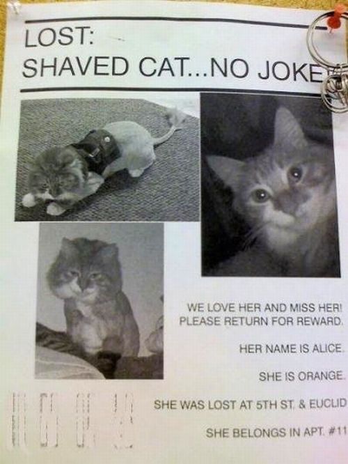 Daily picdump (113 pics)