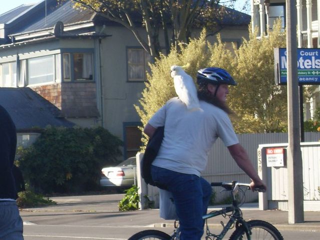 Daily picdump (113 pics)