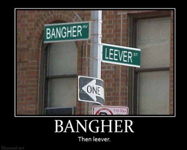 Daily picdump (113 pics)