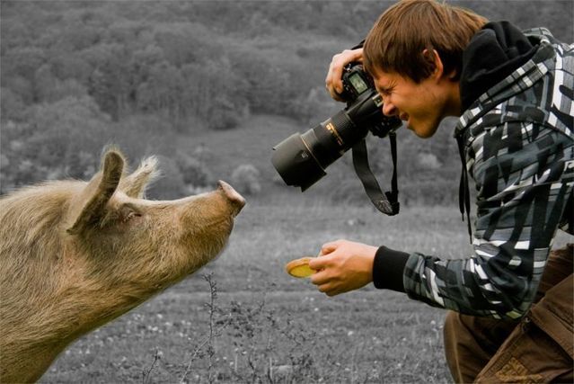 Daily picdump (113 pics)