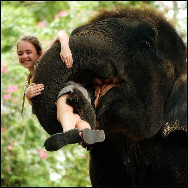 Daily picdump (113 pics)