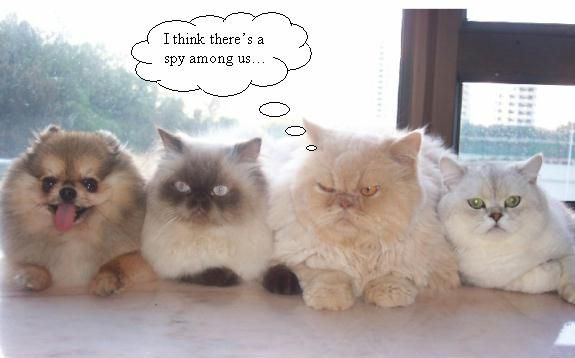 Daily picdump (105 pics)