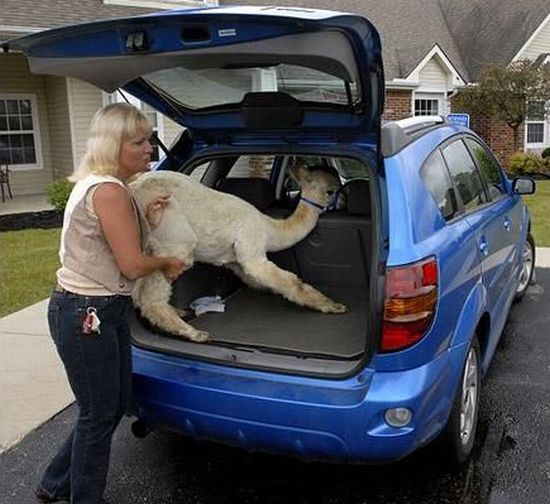 Daily picdump (105 pics)