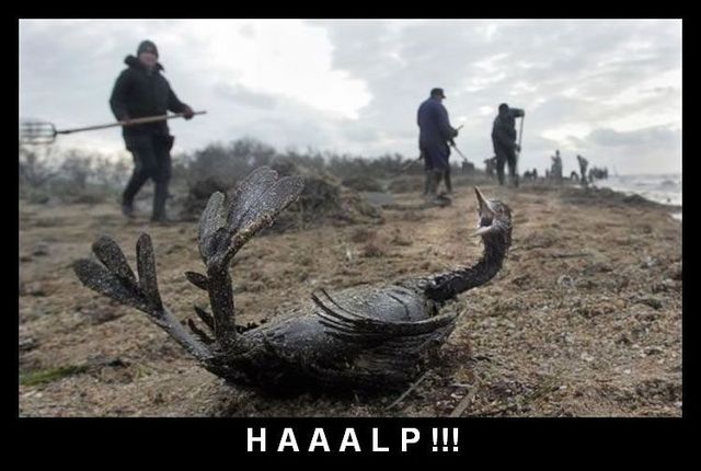 Daily picdump (105 pics)