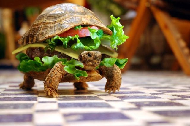 Daily picdump (105 pics)