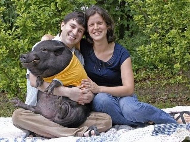 Daily picdump (105 pics)
