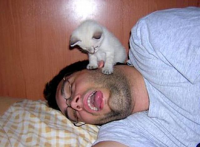Daily picdump (116 pics)