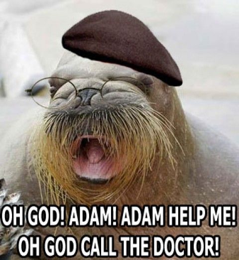Daily picdump (116 pics)