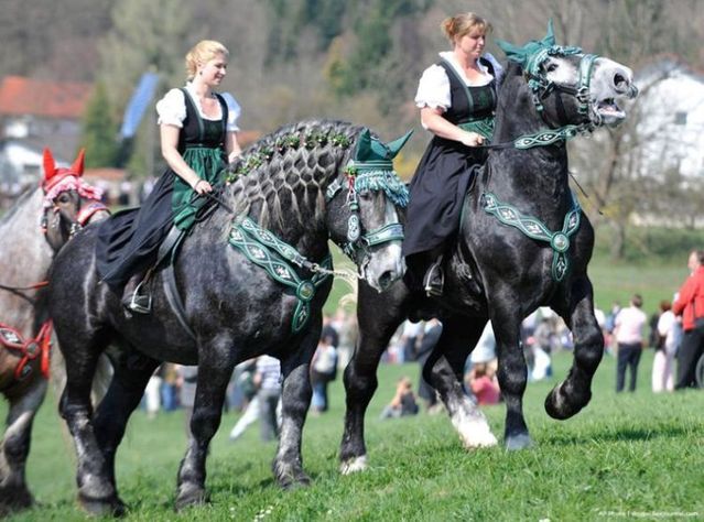 Daily picdump (116 pics)