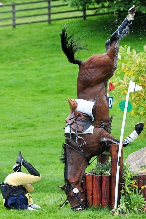 Daily picdump (116 pics)