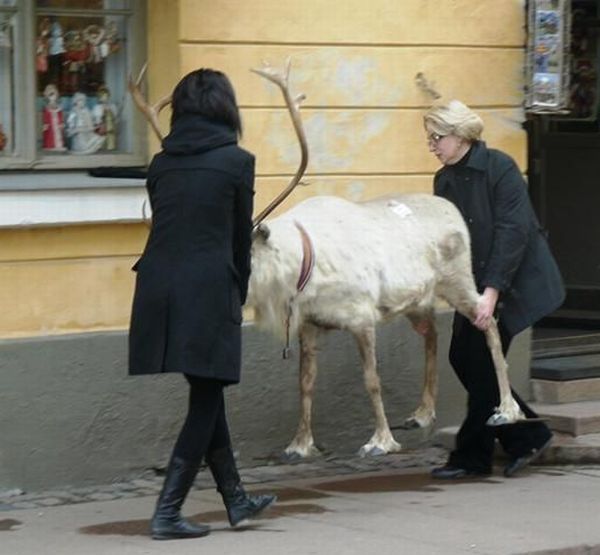 Daily picdump (116 pics)