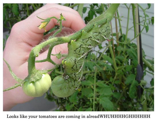 Daily picdump (116 pics)