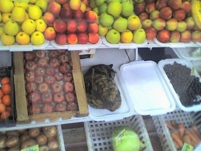 Daily picdump (116 pics)