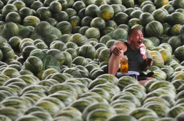 Daily picdump (116 pics)