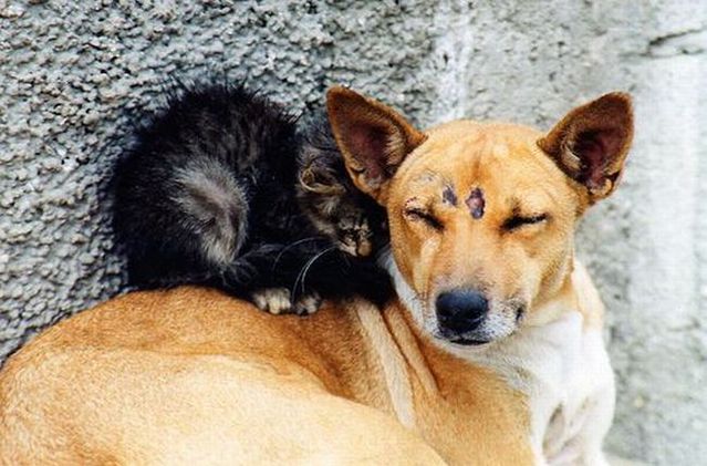 Daily picdump (116 pics)
