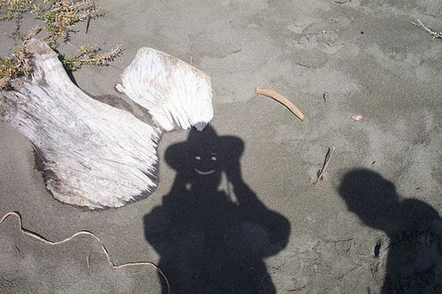 Living shadows (31 pics)