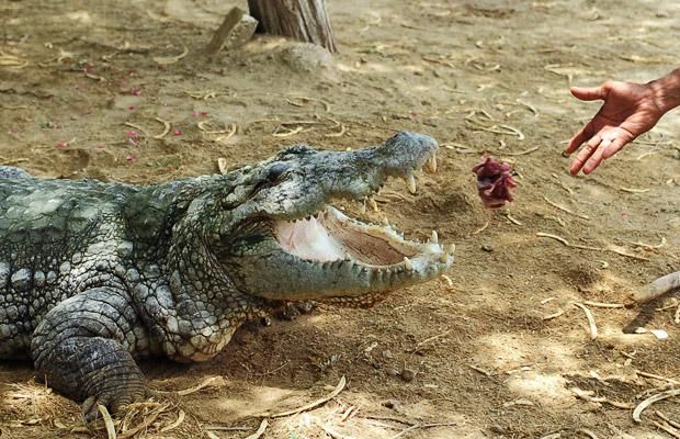 Daily picdump (116 pics)