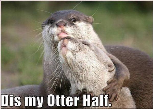 Daily picdump (116 pics)