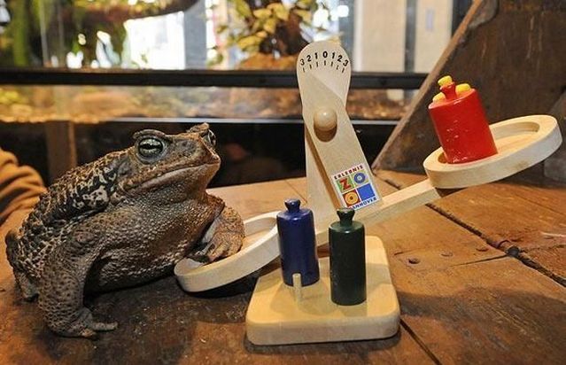 Daily picdump (116 pics)