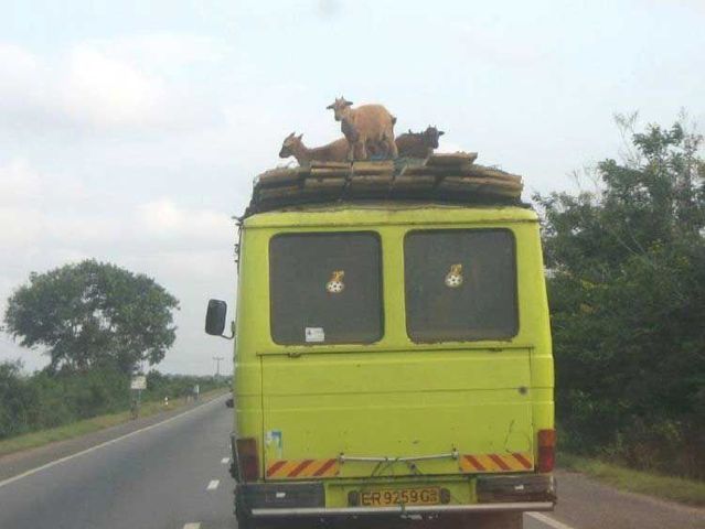 Daily picdump (116 pics)