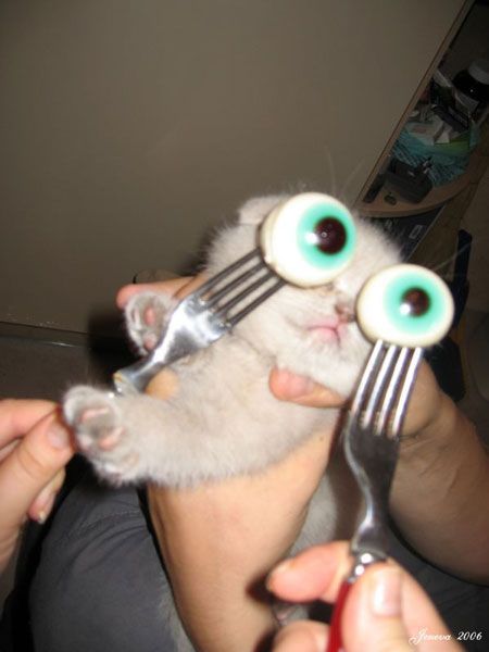 Daily picdump (116 pics)