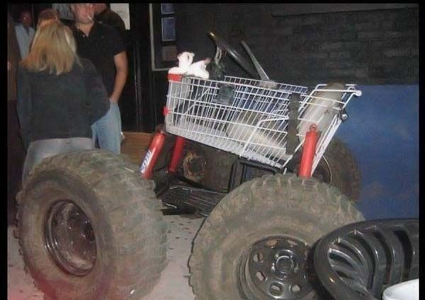 Daily picdump (116 pics)