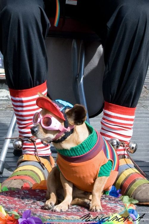 Daily picdump (116 pics)