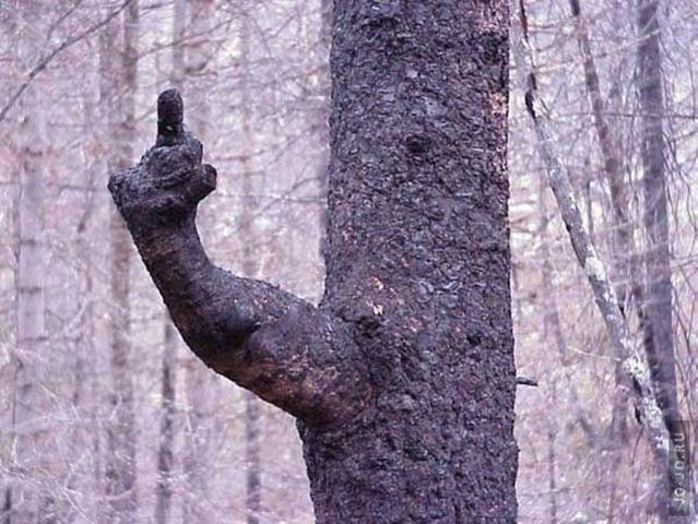 Daily picdump (116 pics)