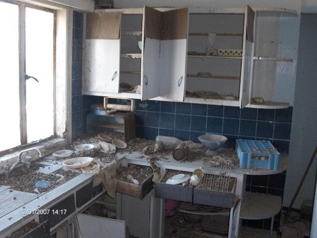 People don’t live here anymore ... (91 pics)