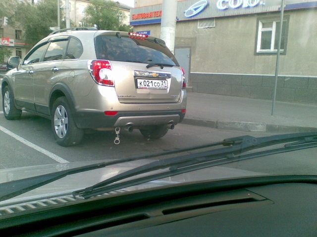 Daily picdump (145 pics)