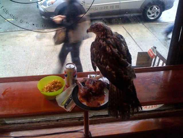 Daily picdump (145 pics)