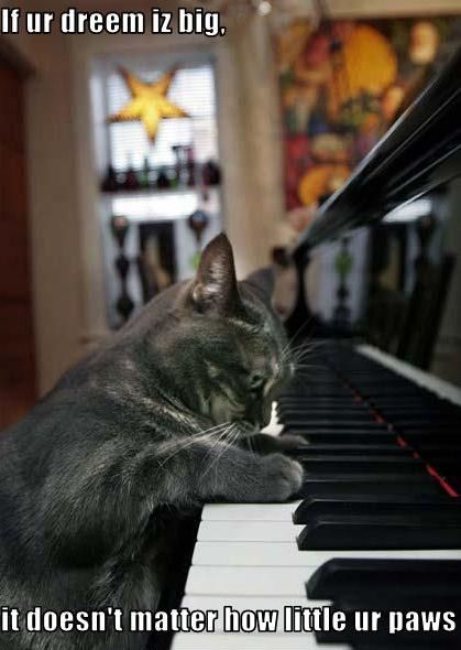 Daily picdump (145 pics)