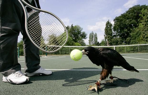 Daily picdump (145 pics)