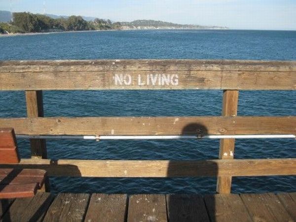 Daily picdump (145 pics)