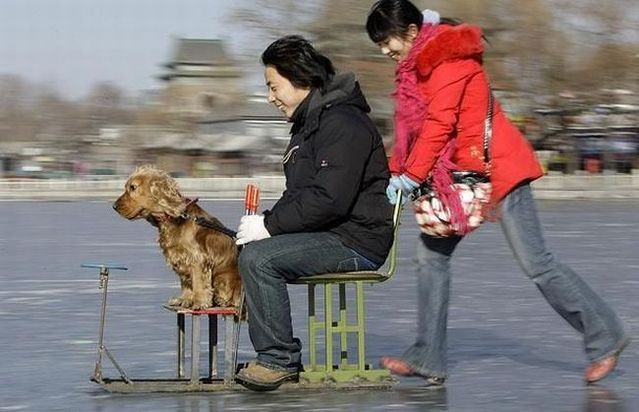 Daily picdump (145 pics)