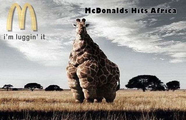 Daily picdump (145 pics)
