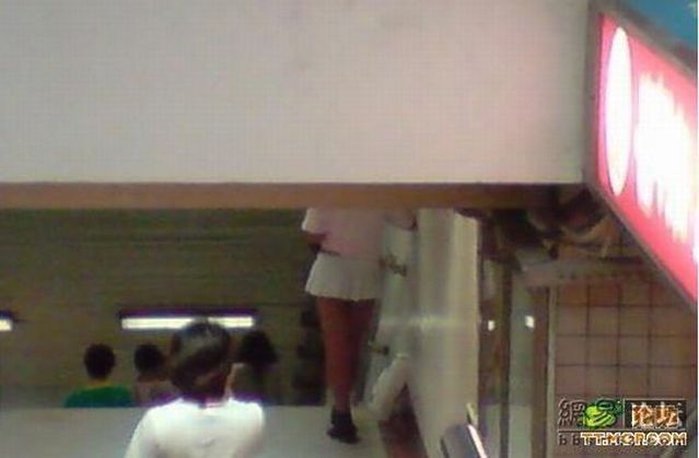 Girl or… (14 pics)