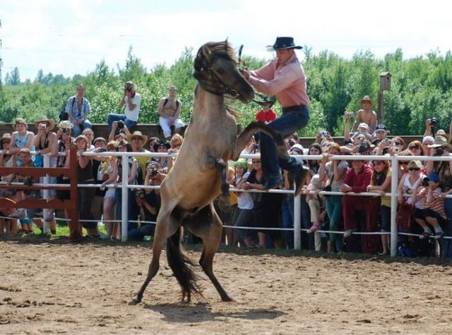 Daily picdump (121 pics)