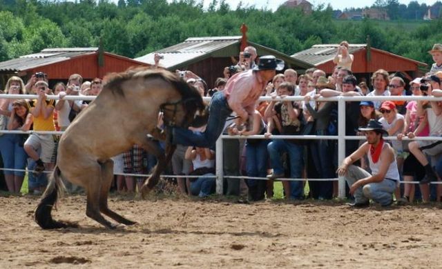 Daily picdump (121 pics)