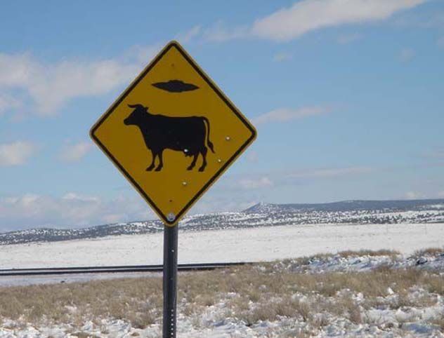 Daily picdump (121 pics)