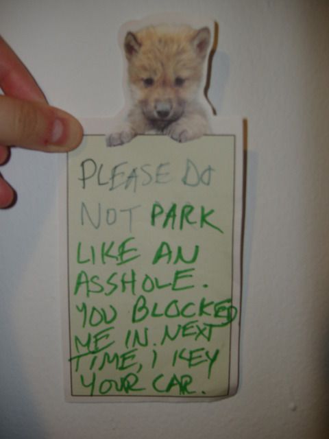 Daily picdump (121 pics)