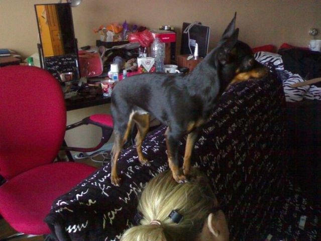 Daily picdump (121 pics)