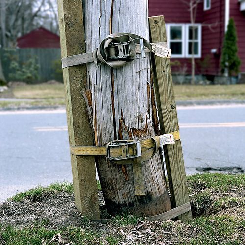 Daily picdump (121 pics)