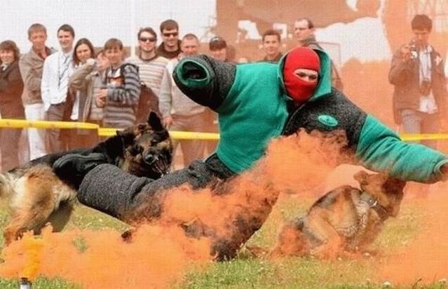 Daily picdump (121 pics)
