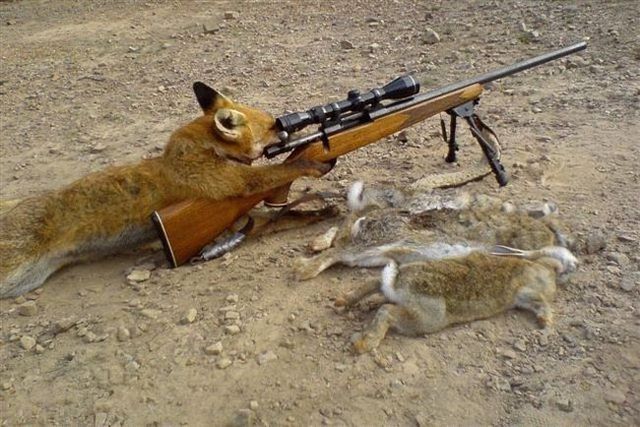 Daily picdump (121 pics)