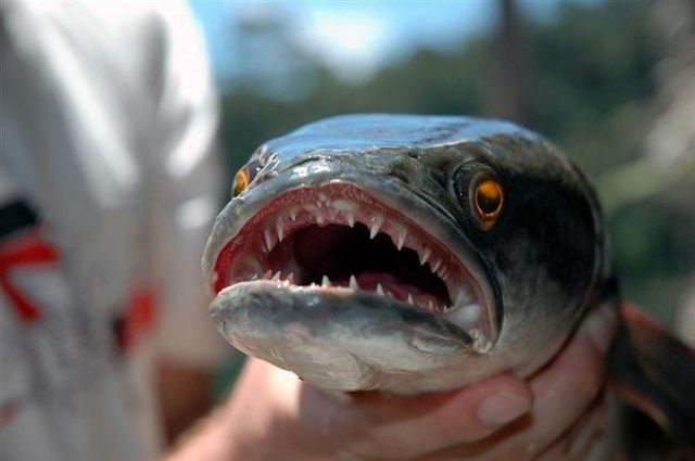 Daily picdump (121 pics)
