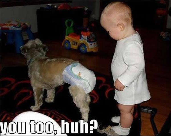 Daily picdump (121 pics)