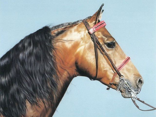 Pretty cool paintings by Lesley Harrison (29 pics)