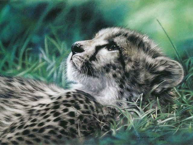 Pretty cool paintings by Lesley Harrison (29 pics)