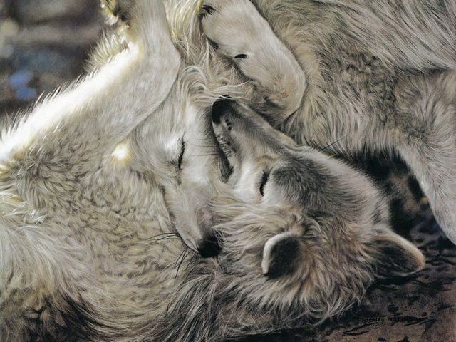Pretty cool paintings by Lesley Harrison (29 pics)